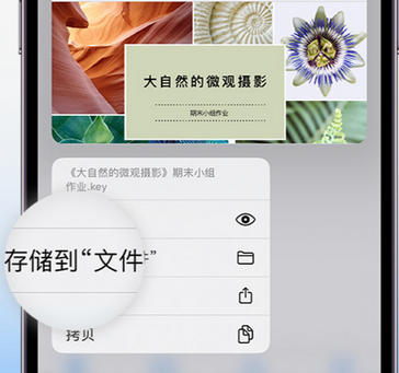 蒲江apple维修中心分享iPhone文件应用中存储和找到下载文件