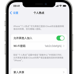 蒲江apple服务站点分享iPhone上个人热点丢失了怎么办 