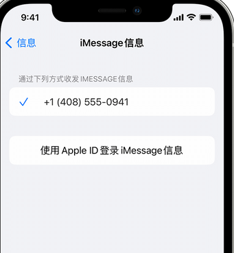 蒲江apple维修iPhone上无法正常发送iMessage信息 