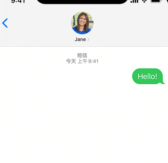 蒲江apple维修iPhone上无法正常发送iMessage信息