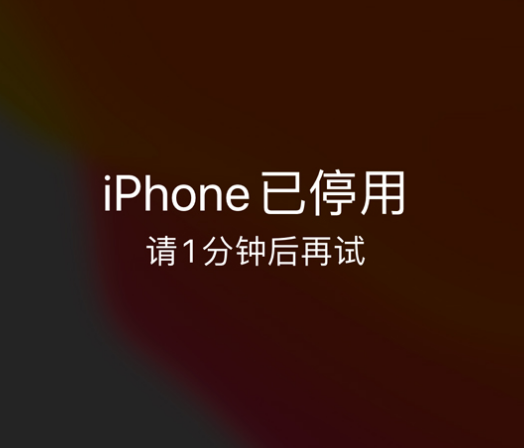 蒲江苹果手机维修分享:iPhone 显示“不可用”或“已停用”怎么办？还能保留数据吗？ 