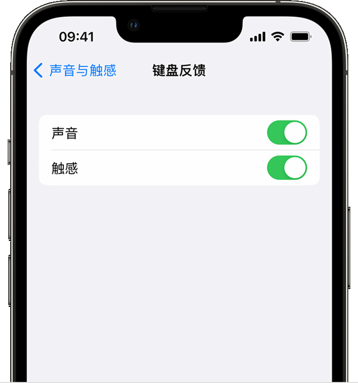 蒲江苹果14维修店分享如何在 iPhone 14 机型中使用触感键盘 