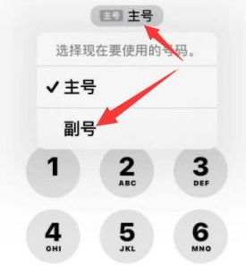 蒲江苹果14维修店分享iPhone 14 Pro Max使用副卡打电话的方法 