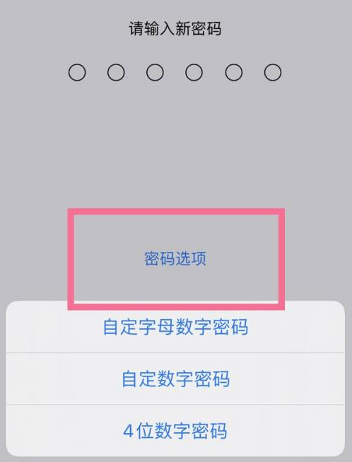 蒲江苹果14维修分享iPhone 14plus设置密码的方法 