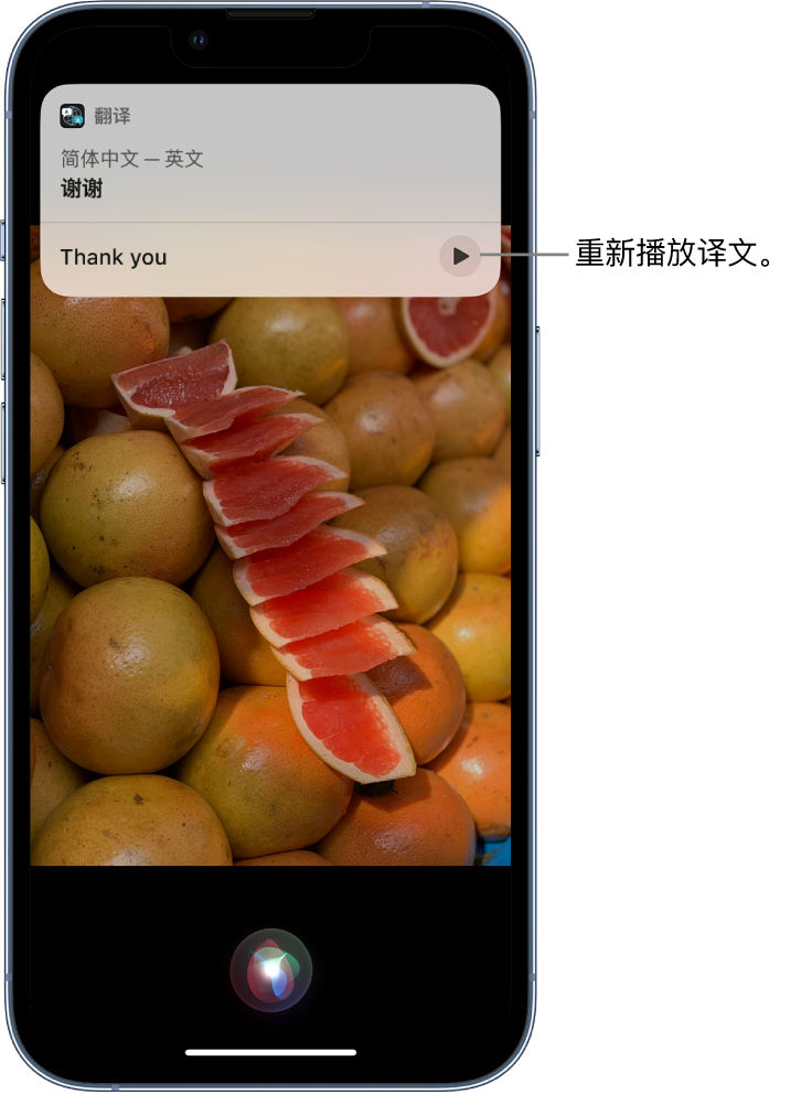 蒲江苹果14维修分享 iPhone 14 机型中使用 Siri：了解 Siri 能帮你做什么 