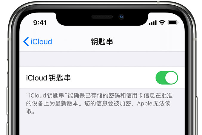 蒲江苹果手机维修分享在 iPhone 上开启 iCloud 钥匙串之后会储存哪些信息 