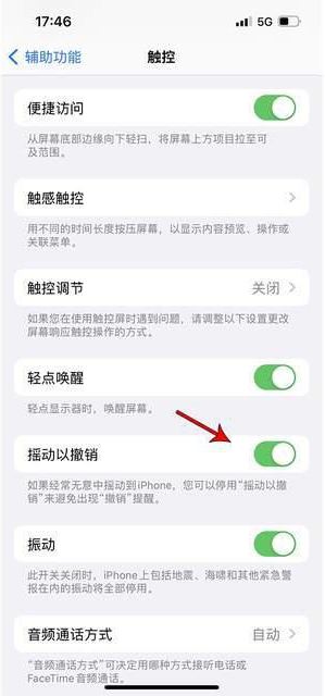 蒲江苹果手机维修分享iPhone手机如何设置摇一摇删除文字 