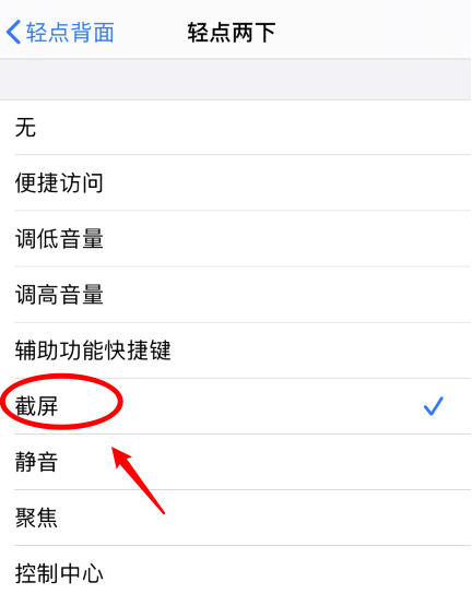 蒲江苹果手机维修分享iPhone12如何启用双击截屏 